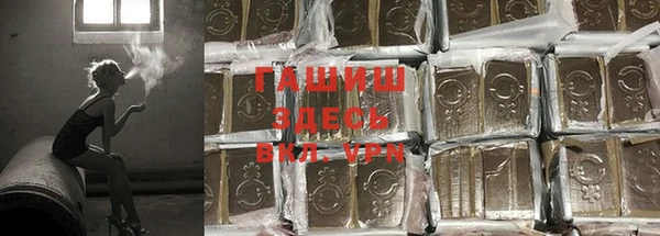 шишки Аркадак