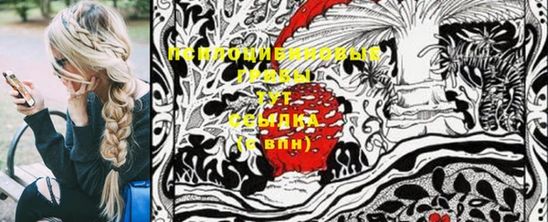 шишки Аркадак