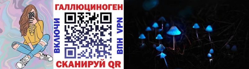 omg маркетплейс  Нижний Новгород  Галлюциногенные грибы Cubensis 