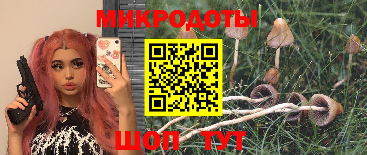 Галлюциногенные грибы Cubensis Нижний Новгород