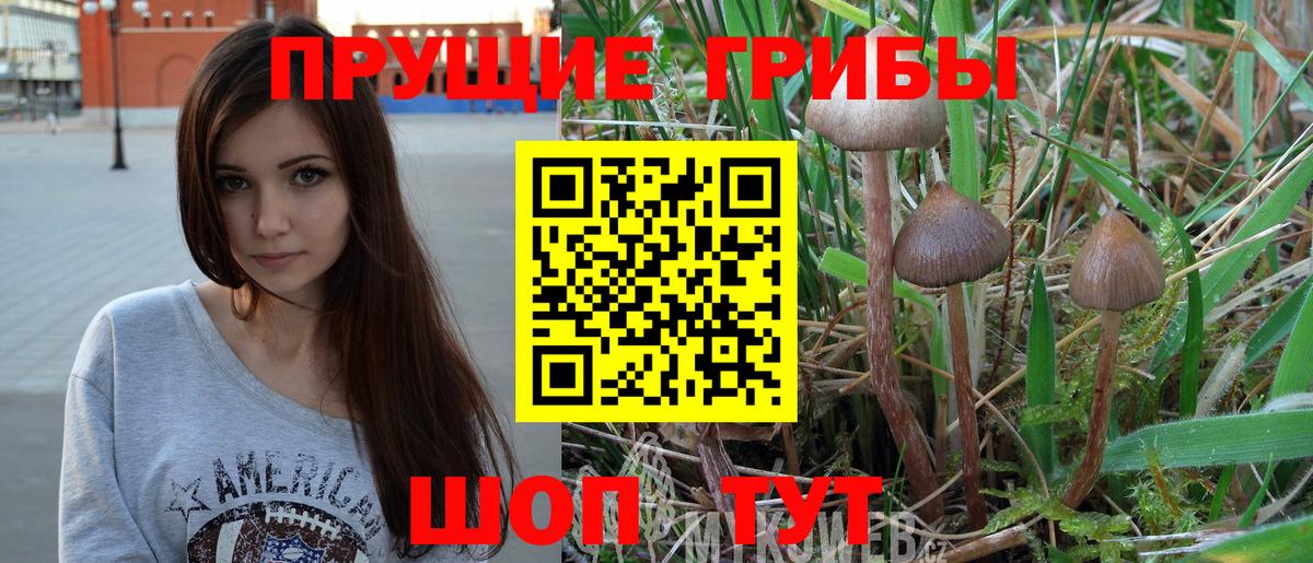 Псилоцибиновые грибы Magic Shrooms  Вход с VPN  Нижний Новгород 